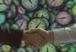 Best Time Management Games for Beginners